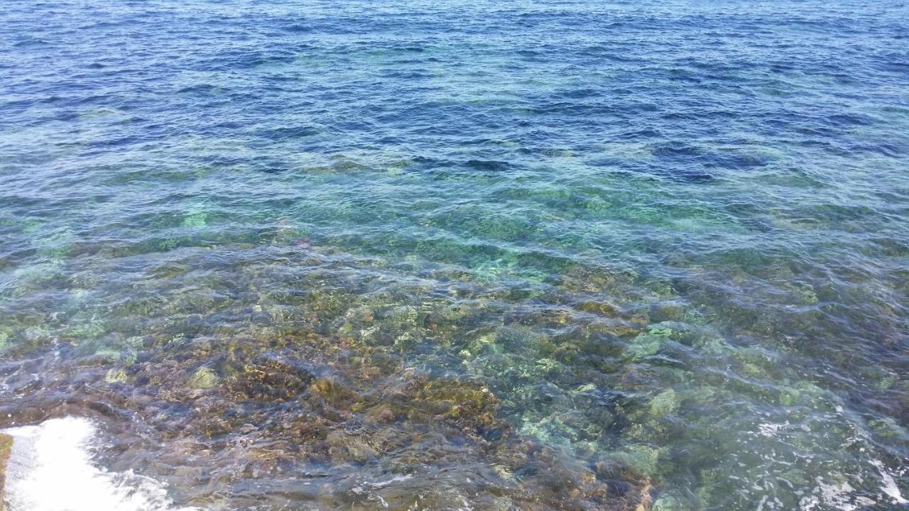 Almaran B&B Trapani Port & City Εξωτερικό φωτογραφία